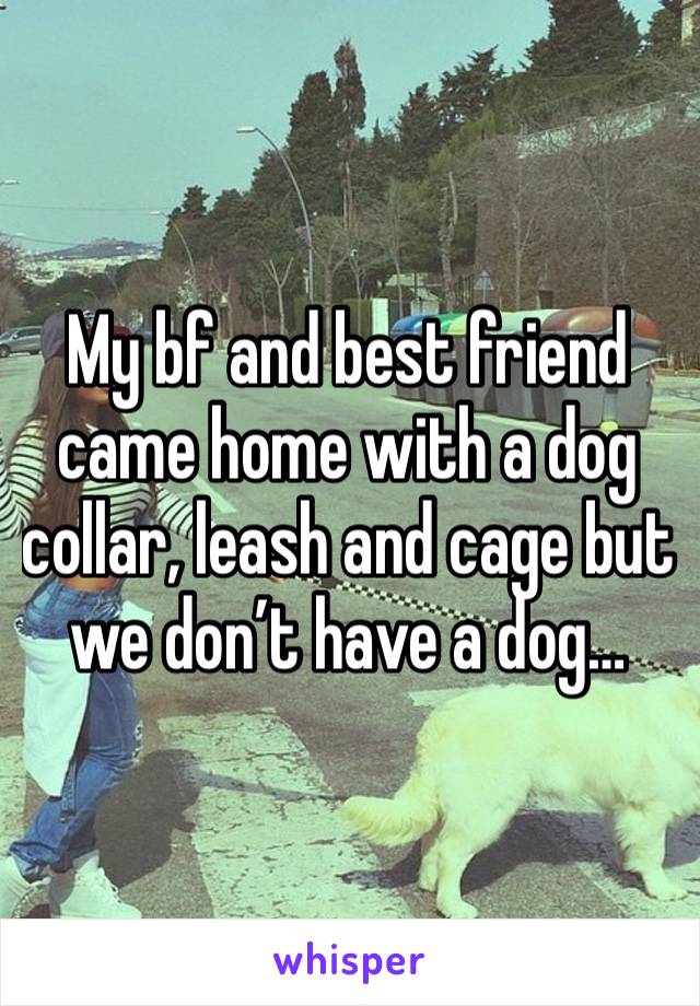 My bf and best friend came home with a dog collar, leash and cage but we don’t have a dog…