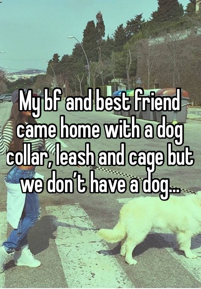 My bf and best friend came home with a dog collar, leash and cage but we don’t have a dog…