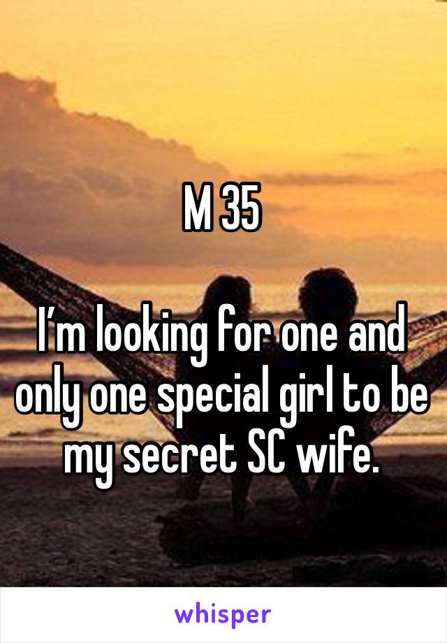 M 35

I’m looking for one and only one special girl to be my secret SC wife.