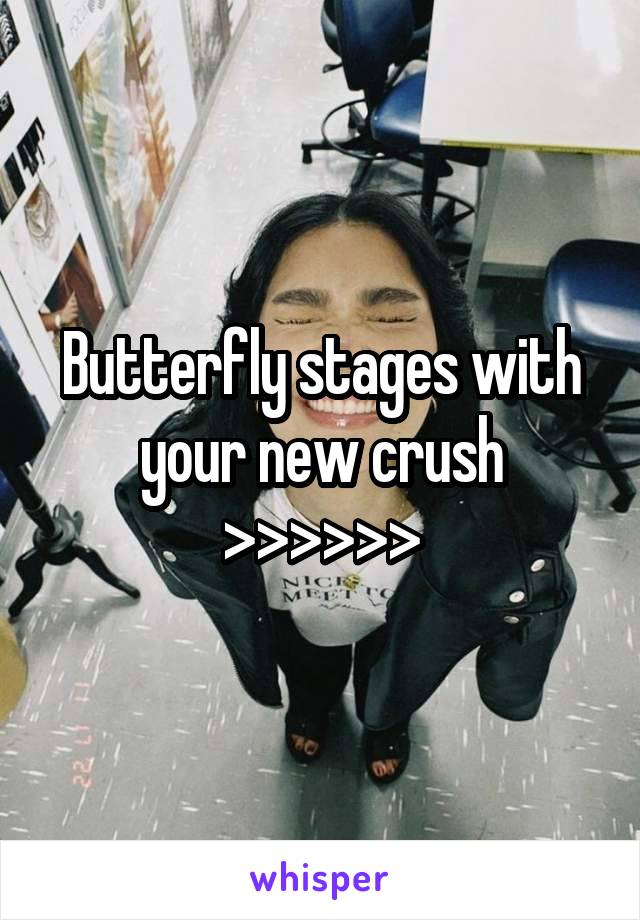 Butterfly stages with your new crush >>>>>>