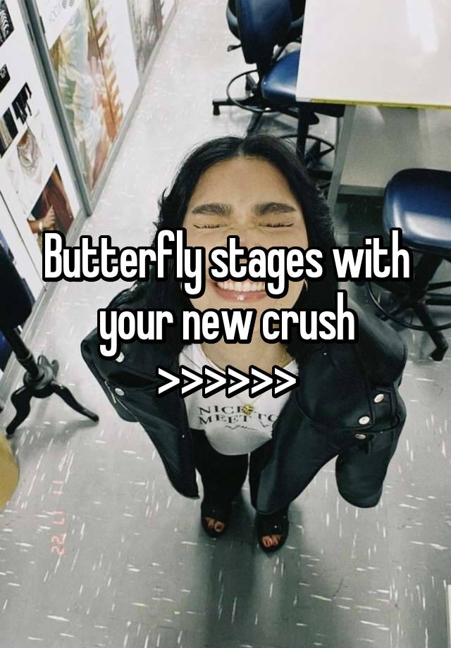 Butterfly stages with your new crush >>>>>>