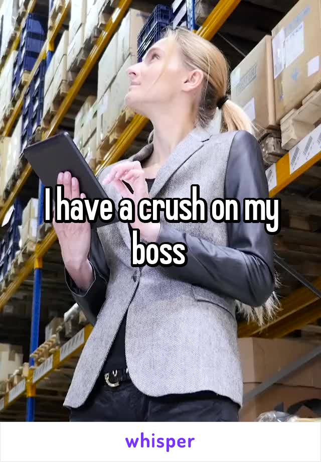I have a crush on my boss 