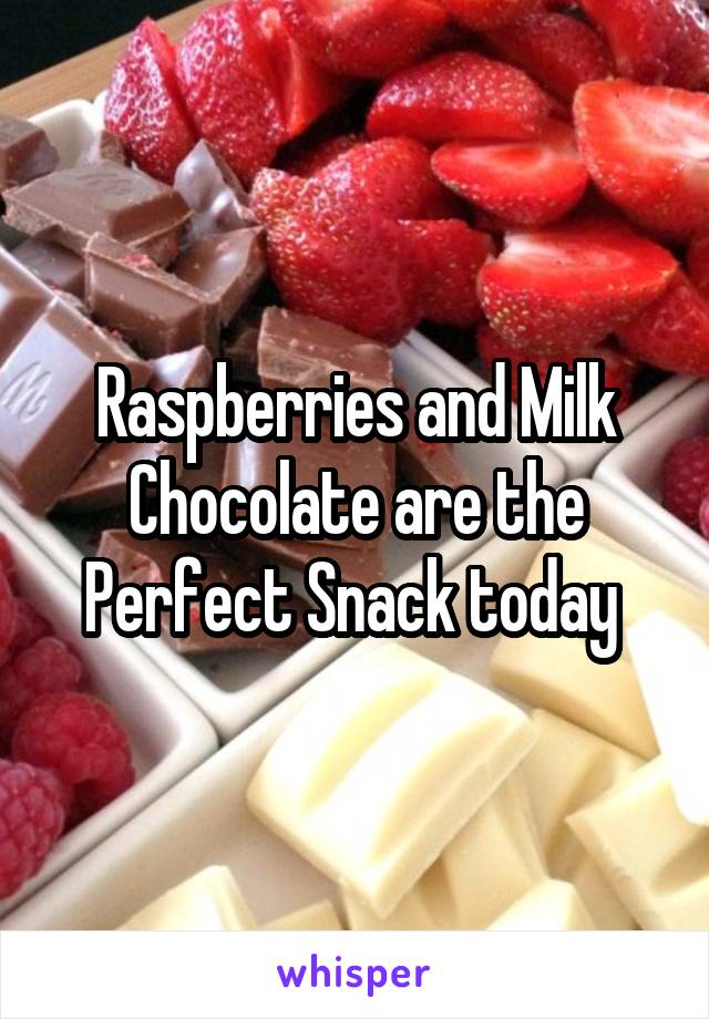 Raspberries and Milk Chocolate are the Perfect Snack today 