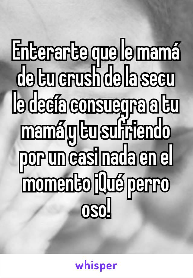 Enterarte que le mamá de tu crush de la secu le decía consuegra a tu mamá y tu sufriendo por un casi nada en el momento ¡Qué perro oso!