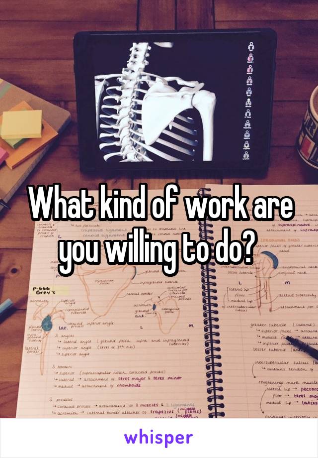 What kind of work are you willing to do? 