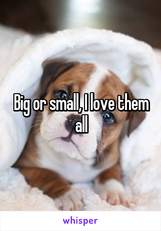 Big or small, I love them all