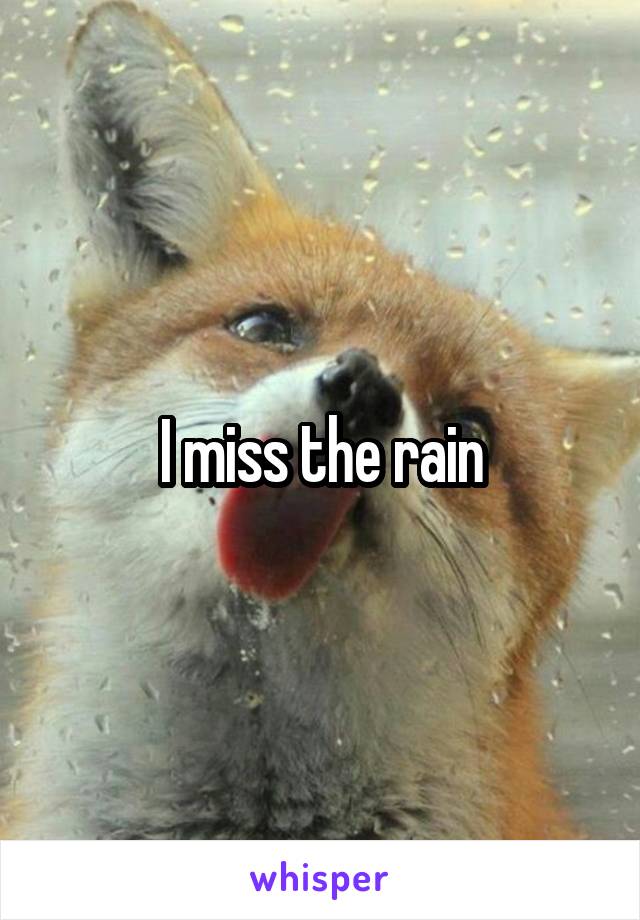 I miss the rain