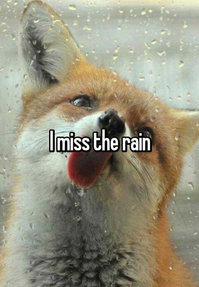 I miss the rain