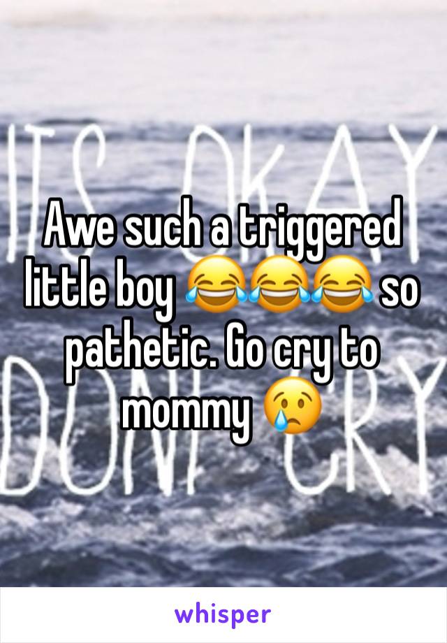 Awe such a triggered little boy 😂😂😂 so pathetic. Go cry to mommy 😢