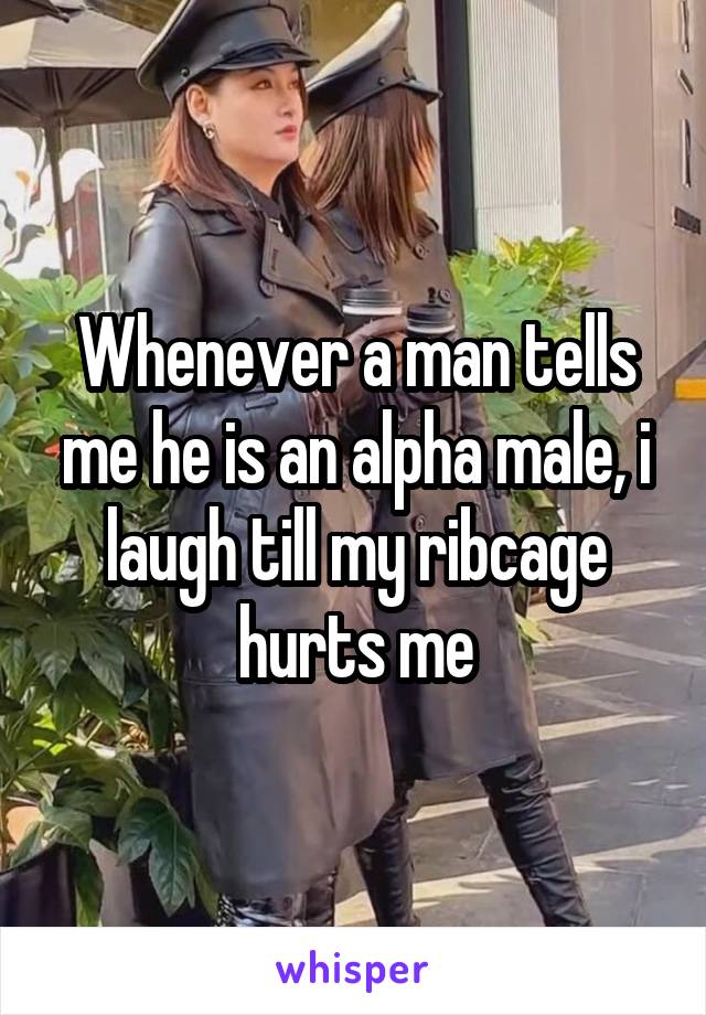 Whenever a man tells me he is an alpha male, i laugh till my ribcage hurts me