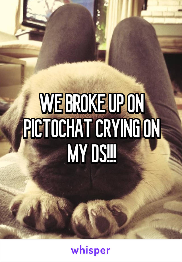 WE BROKE UP ON PICTOCHAT CRYING ON MY DS!!!