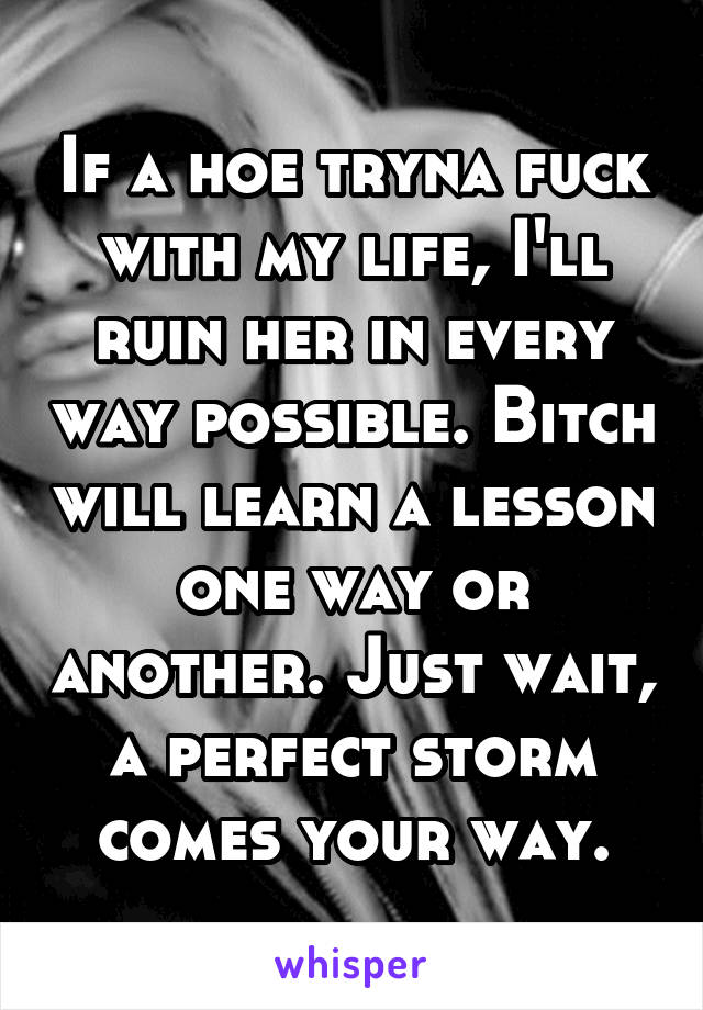 If a hoe tryna fuck with my life, I'll ruin her in every way possible. Bitch will learn a lesson one way or another. Just wait, a perfect storm comes your way.