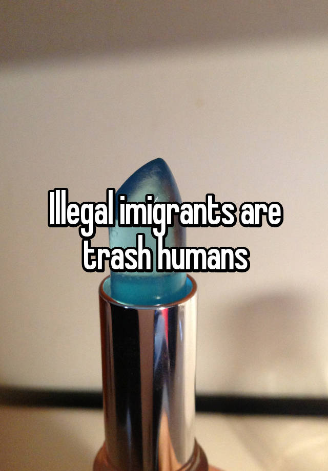 Illegal imigrants are trash humans