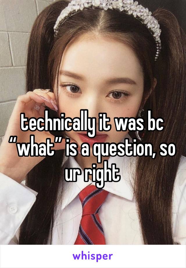 technically it was bc “what” is a question, so ur right 