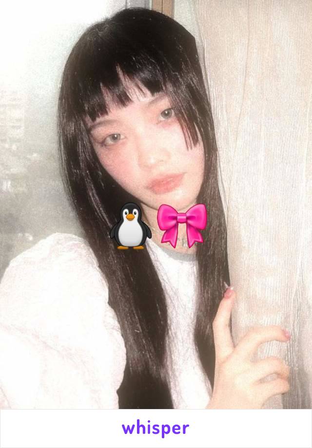 🐧🎀