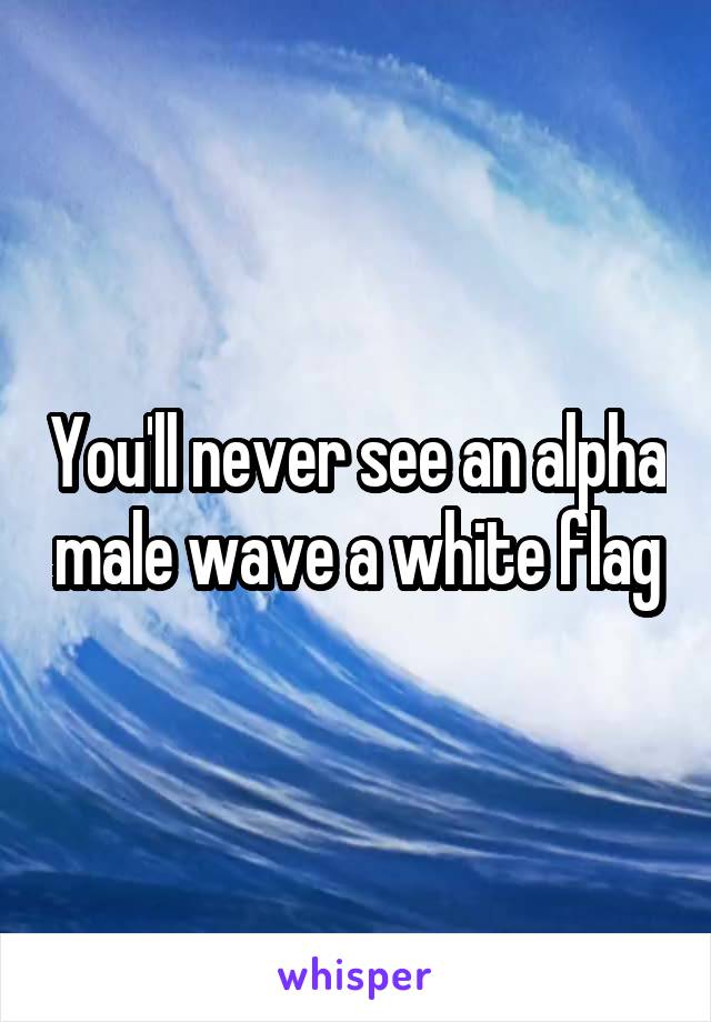 You'll never see an alpha male wave a white flag