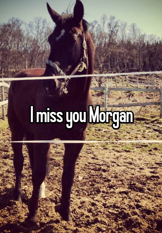 I miss you Morgan