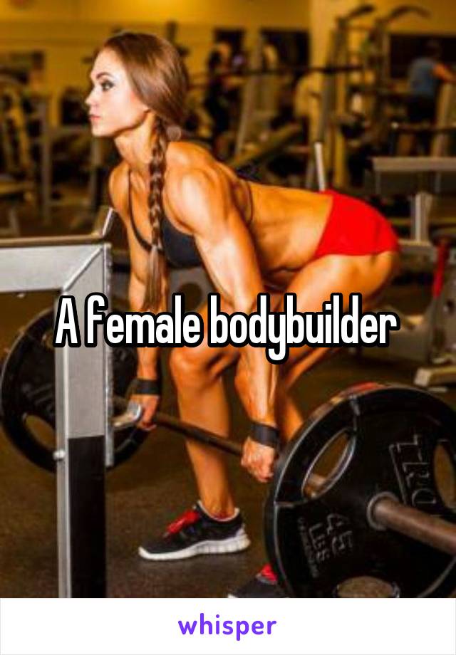 A female bodybuilder 