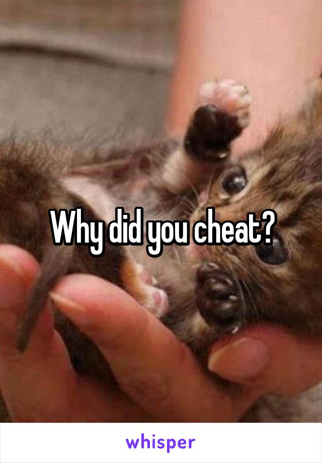 Why did you cheat?