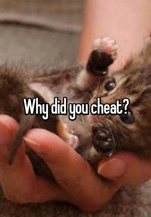 Why did you cheat?