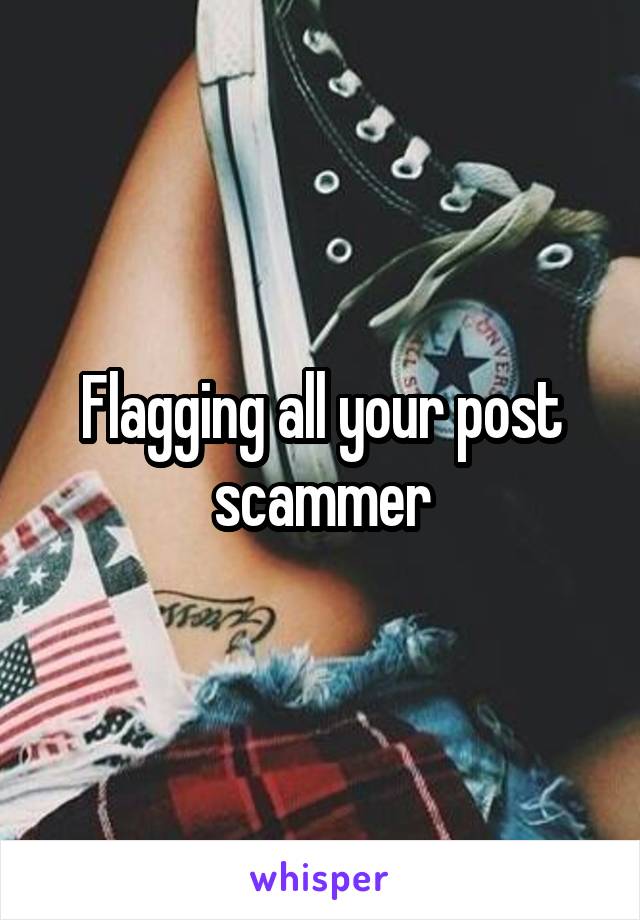 Flagging all your post scammer