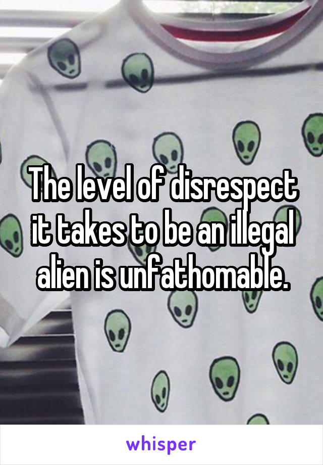 The level of disrespect it takes to be an illegal alien is unfathomable.
