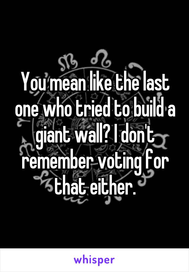 You mean like the last one who tried to build a giant wall? I don't remember voting for that either.