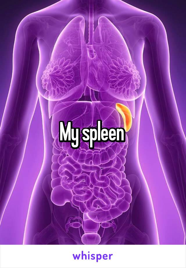 My spleen 