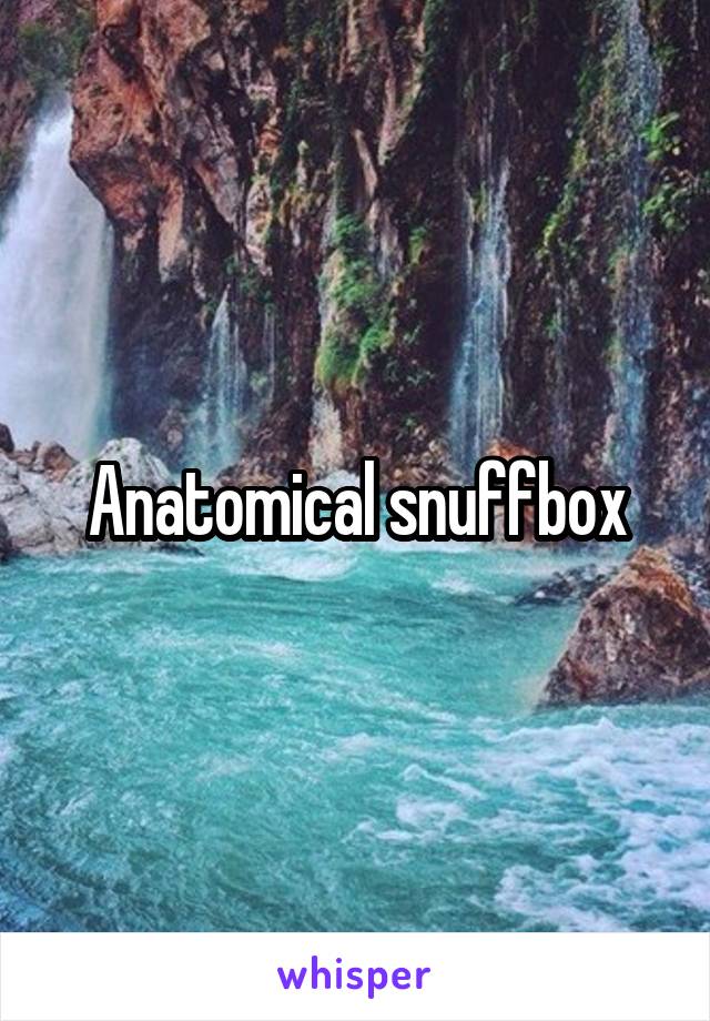 Anatomical snuffbox