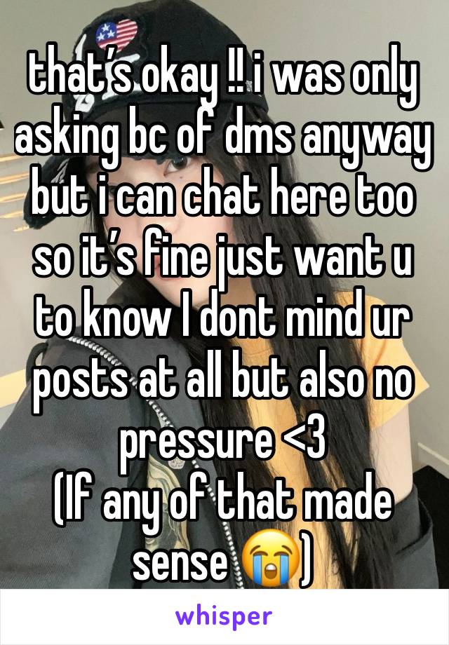 that’s okay !! i was only asking bc of dms anyway but i can chat here too so it’s fine just want u to know I dont mind ur posts at all but also no pressure <3 
(If any of that made sense 😭) 