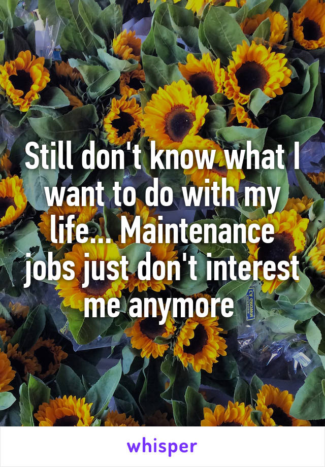 Still don't know what I want to do with my life... Maintenance jobs just don't interest me anymore 