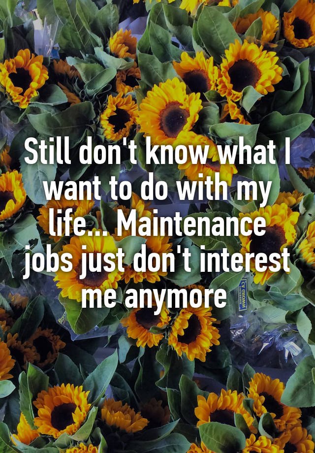 Still don't know what I want to do with my life... Maintenance jobs just don't interest me anymore 