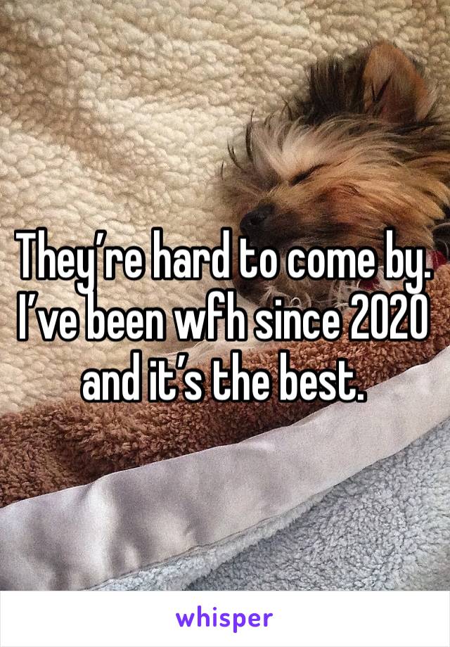 They’re hard to come by. I’ve been wfh since 2020 and it’s the best. 