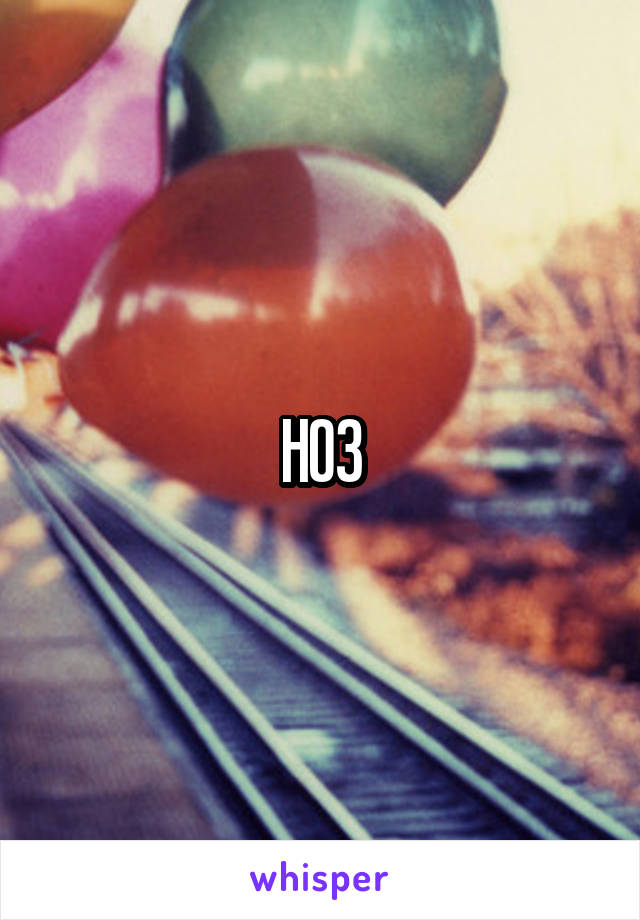 HO3