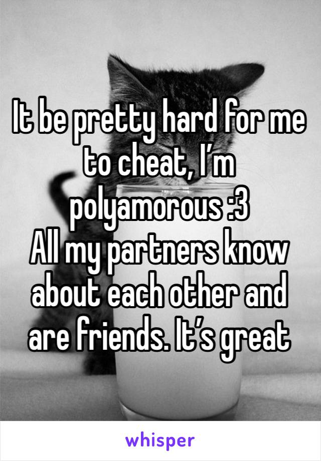 It be pretty hard for me to cheat, I’m polyamorous :3 
All my partners know about each other and are friends. It’s great