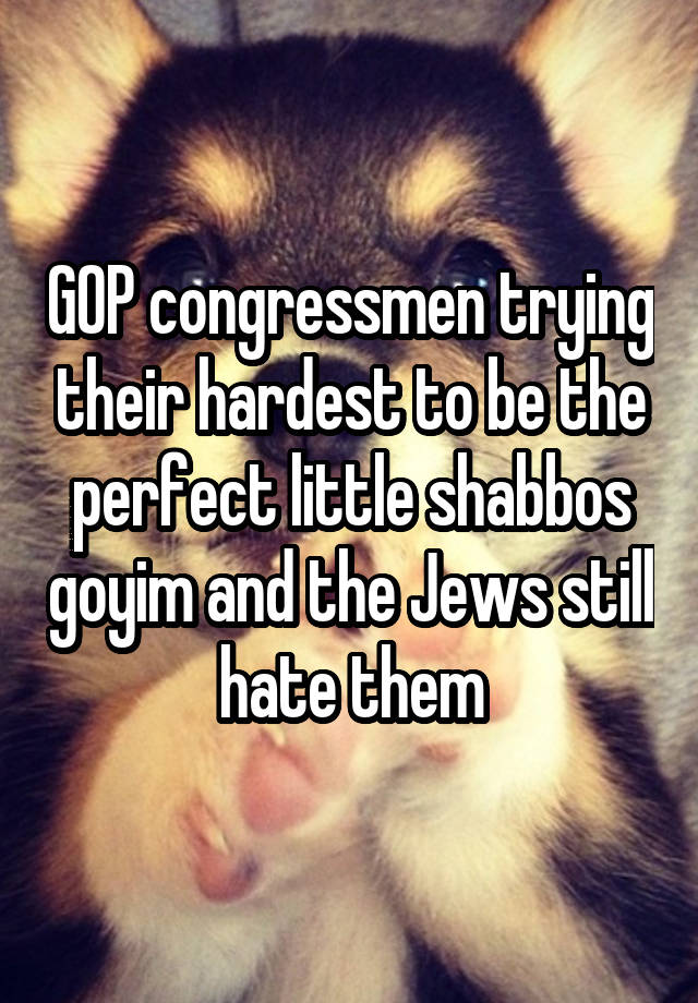 GOP congressmen trying their hardest to be the perfect little shabbos goyim and the Jews still hate them