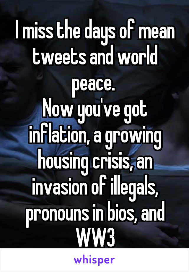 I miss the days of mean tweets and world peace. 
Now you've got inflation, a growing housing crisis, an invasion of illegals, pronouns in bios, and WW3