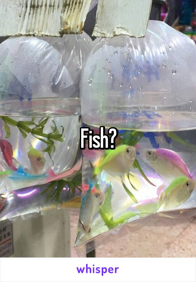 Fish?