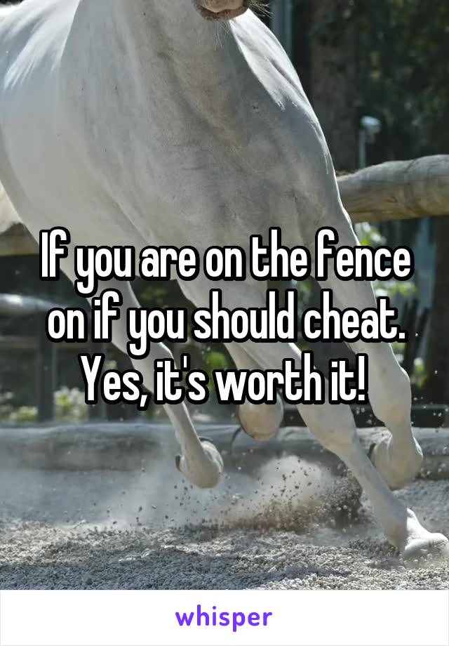 If you are on the fence on if you should cheat. Yes, it's worth it! 