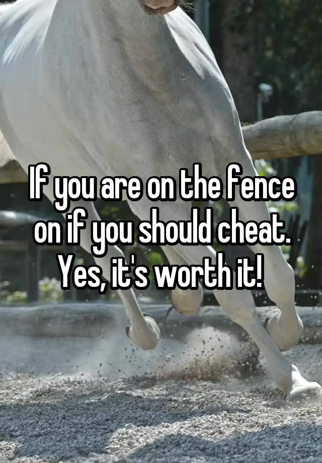 If you are on the fence on if you should cheat. Yes, it's worth it! 