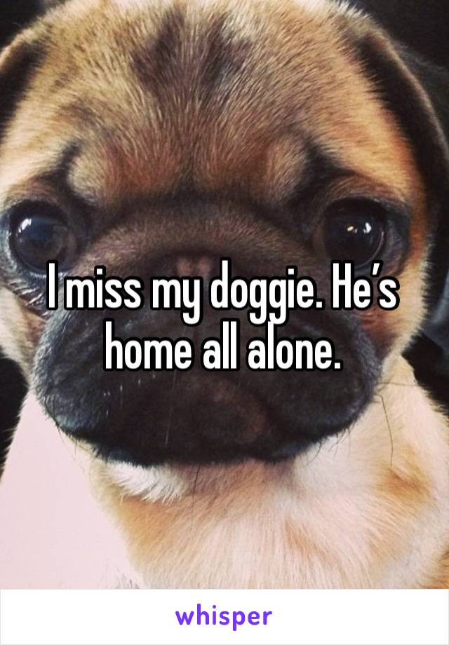 I miss my doggie. He’s home all alone. 