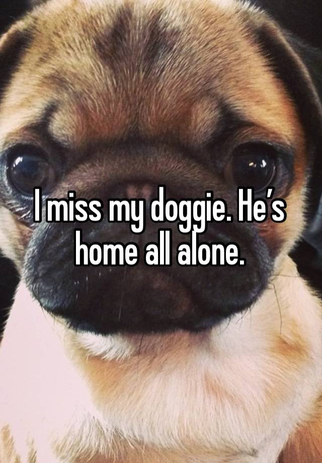 I miss my doggie. He’s home all alone. 