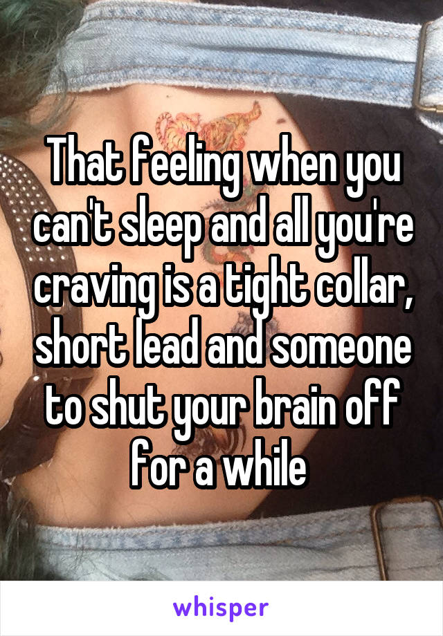 That feeling when you can't sleep and all you're craving is a tight collar, short lead and someone to shut your brain off for a while 