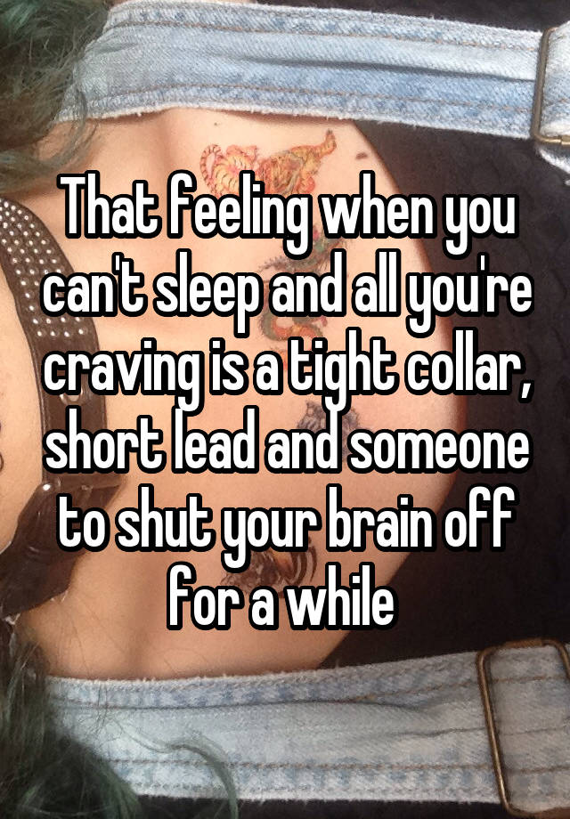 That feeling when you can't sleep and all you're craving is a tight collar, short lead and someone to shut your brain off for a while 