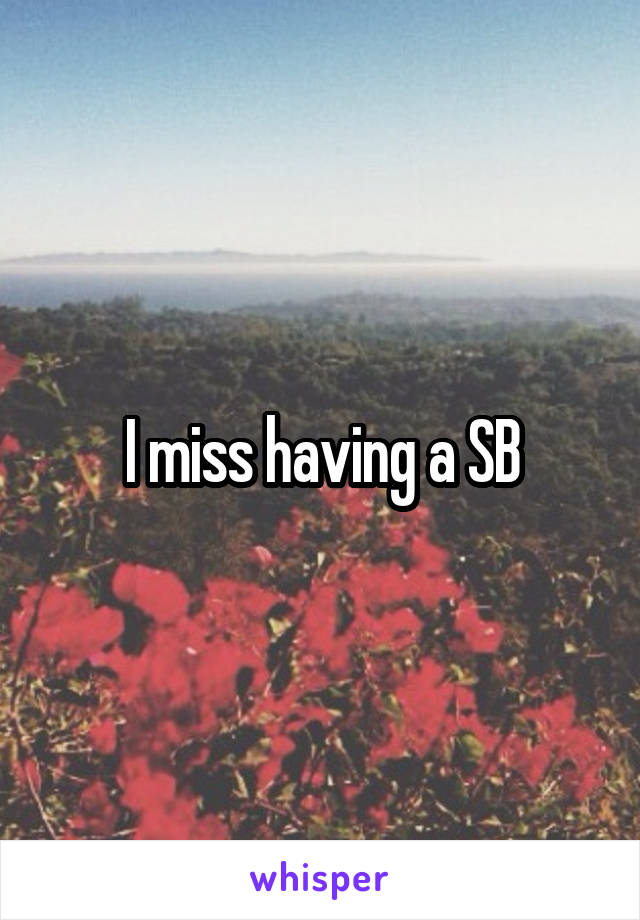 I miss having a SB