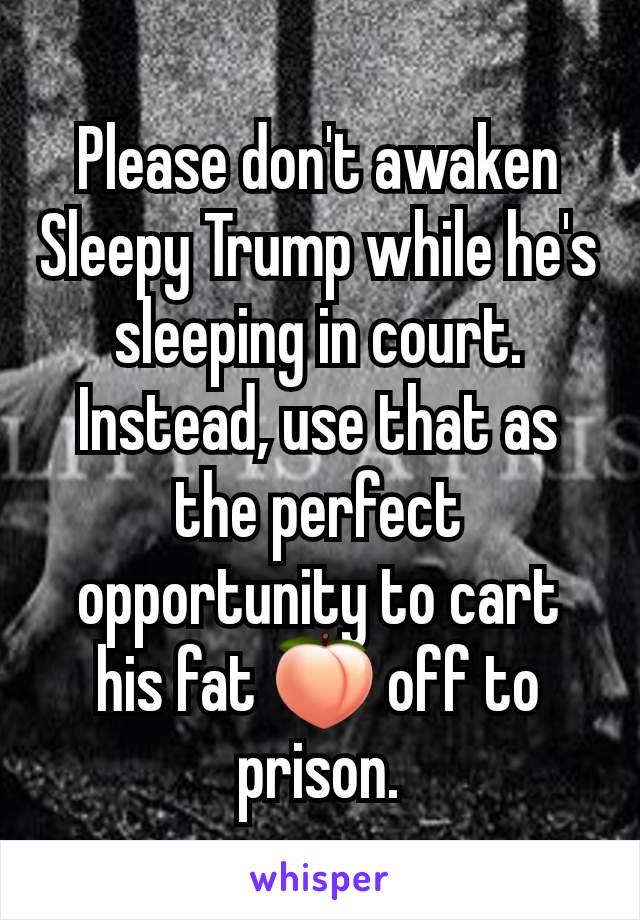 Please don't awaken Sleepy Trump while he's sleeping in court. Instead, use that as the perfect opportunity to cart his fat 🍑 off to prison.