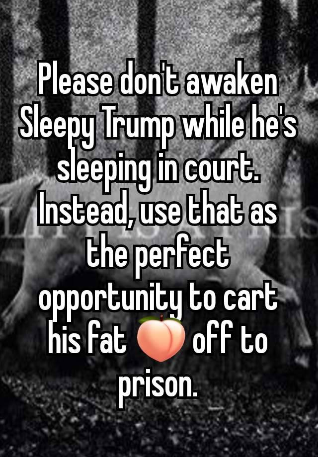 Please don't awaken Sleepy Trump while he's sleeping in court. Instead, use that as the perfect opportunity to cart his fat 🍑 off to prison.