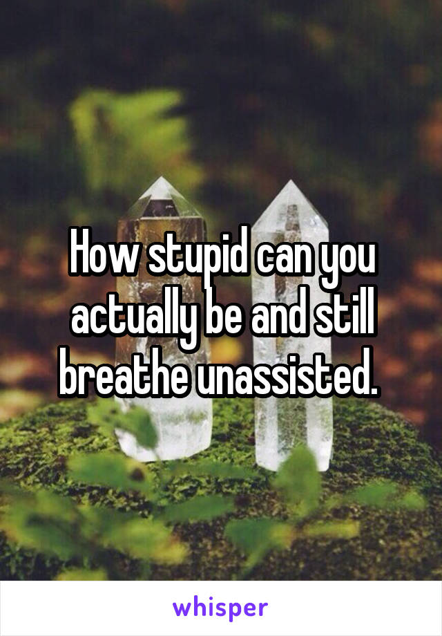 How stupid can you actually be and still breathe unassisted. 