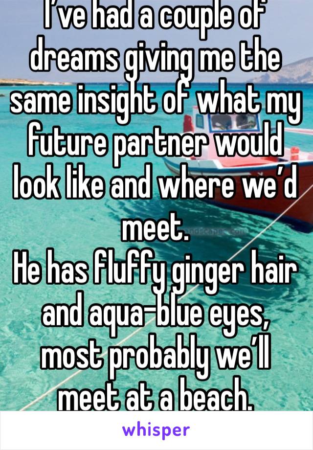 I’ve had a couple of dreams giving me the same insight of what my future partner would look like and where we’d meet.
He has fluffy ginger hair and aqua-blue eyes, most probably we’ll meet at a beach.
