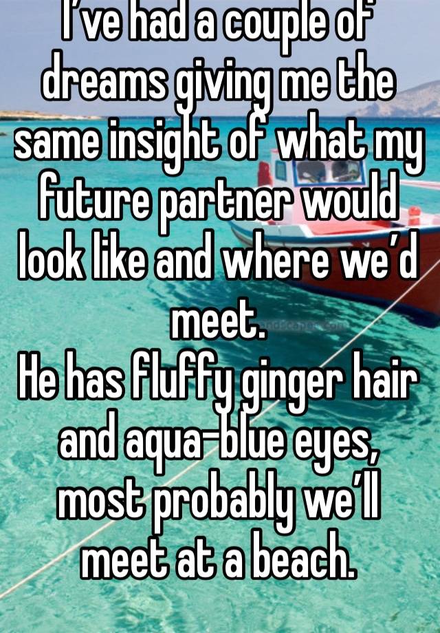 I’ve had a couple of dreams giving me the same insight of what my future partner would look like and where we’d meet.
He has fluffy ginger hair and aqua-blue eyes, most probably we’ll meet at a beach.